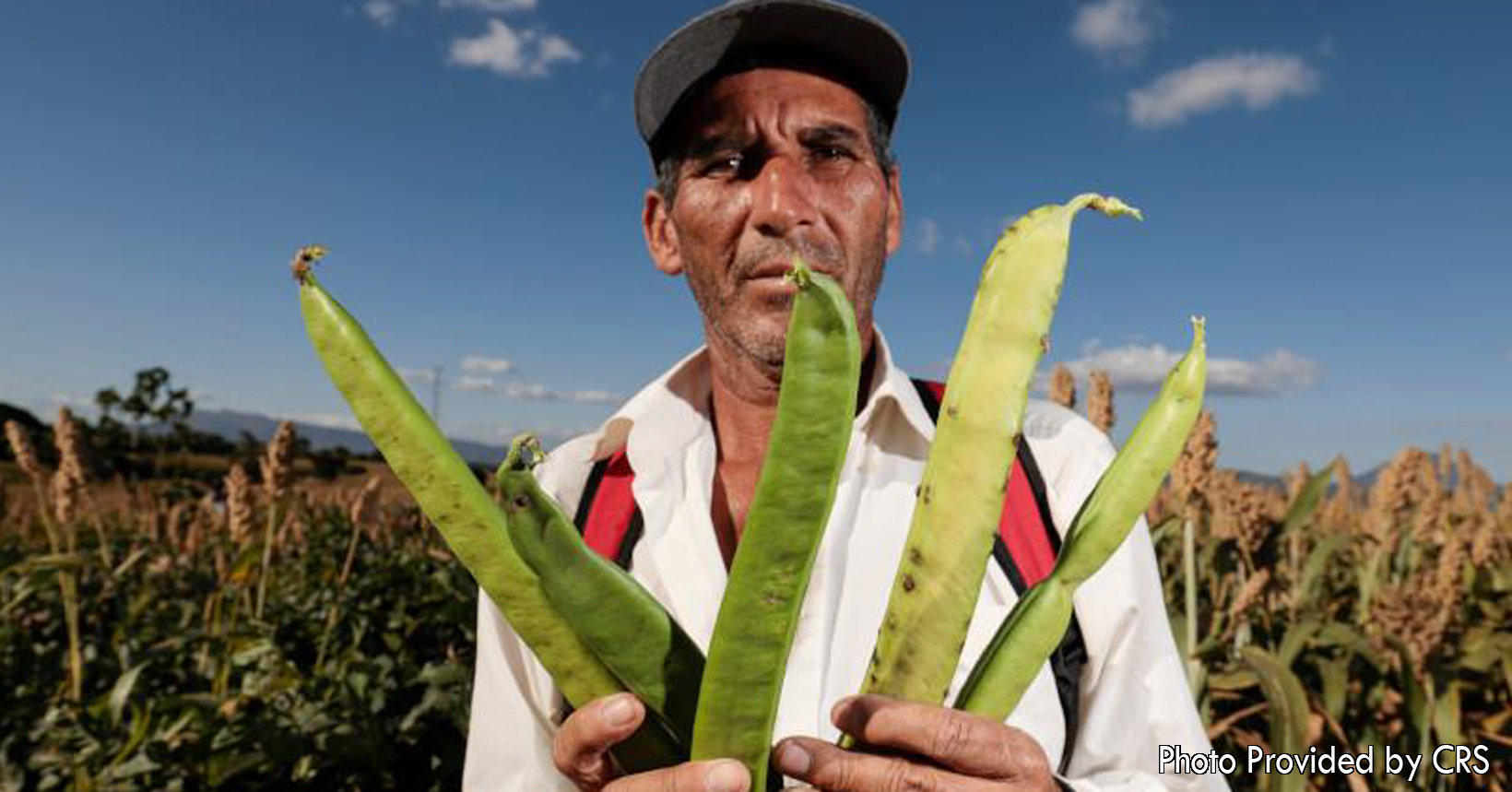 Julio who is a native from El Salvador, has been taught many different techniques by the CRS.  He has learned through better farming practices, how to restore degraded land. He is now able to use degraded land to grow better crops for himself.