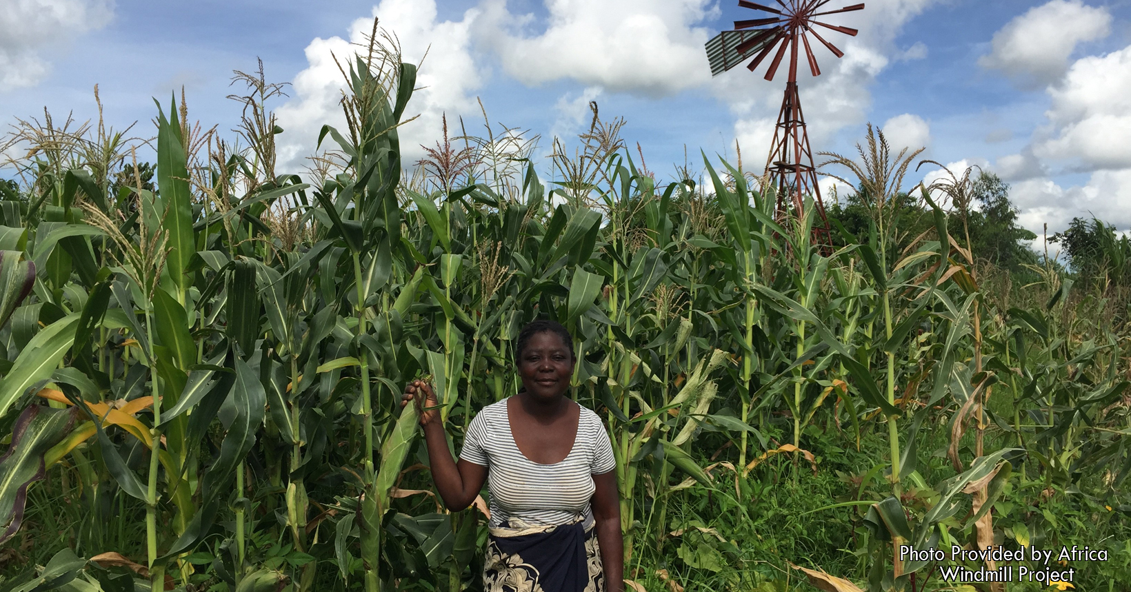 Mercy in her corn field with her windmill.