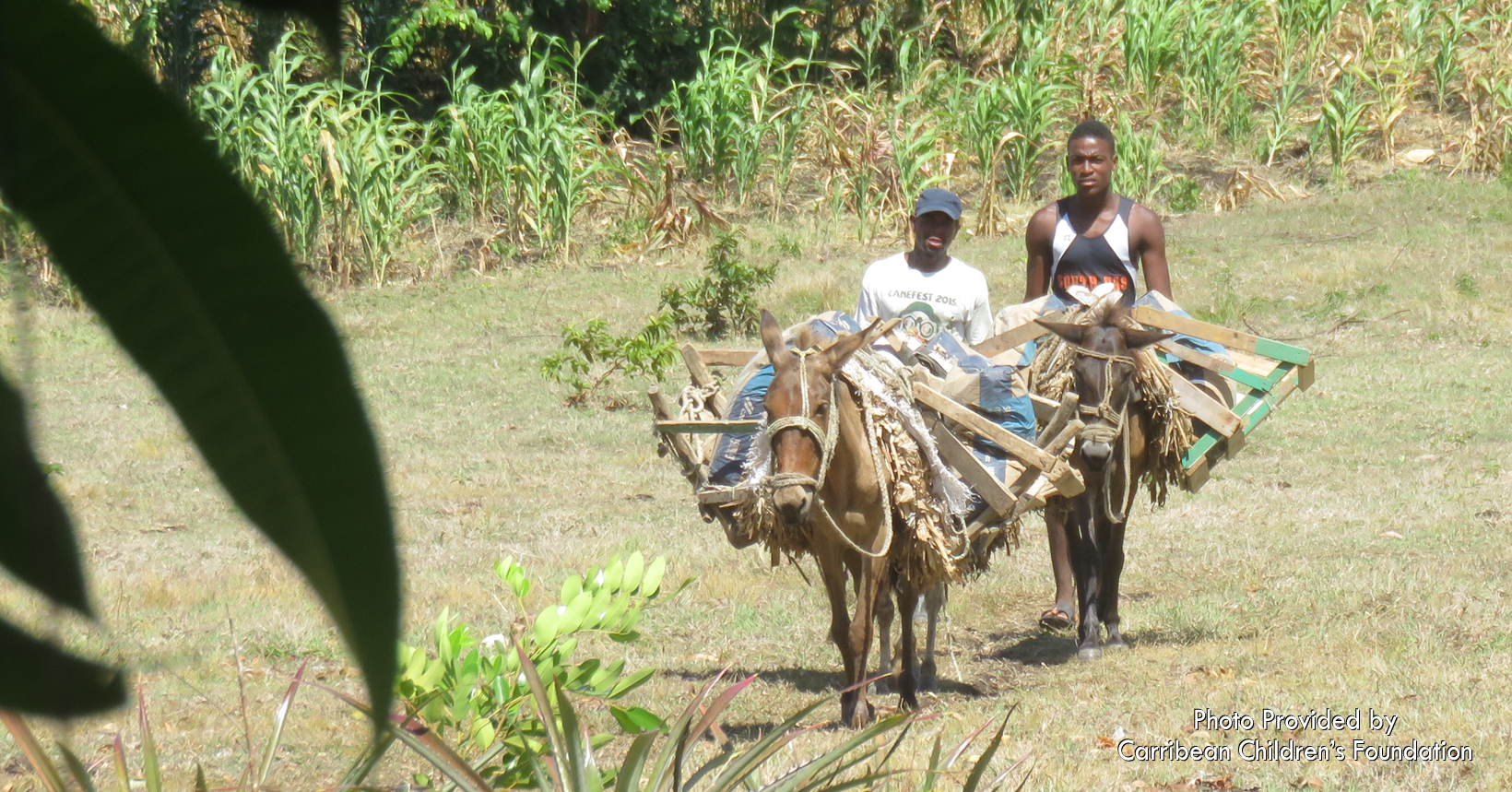 For many people of Île-à-Vache, medical care has been affordable and unobtainable. One must be able to afford the boat trip to the mainland, a taxi to the hospital, treatment at the hospital, prescriptions, meals while on the mainland and the return trip home. Some simply do not have this kind of money and their malady is left untreated, at times resulting in death.